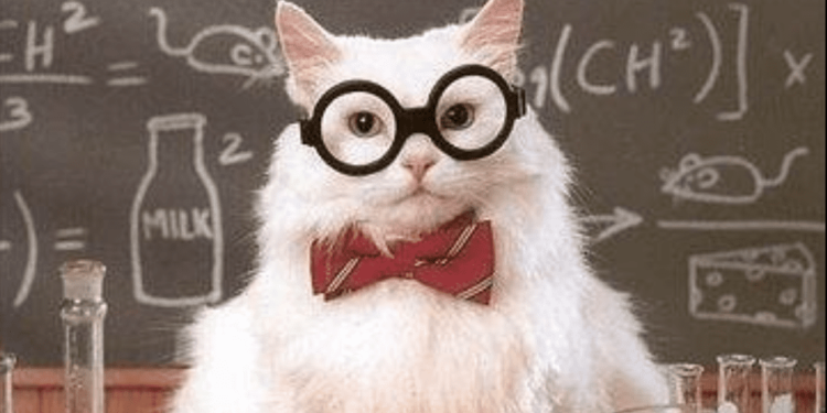 TEST: ¿Qué tanto sabes de CONTABILIDAD AVANZADA? Solo para EXPERTOS