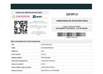 SAT: Estas son las maneras de obtener tu Constancia de Situación Fiscal (CSF)