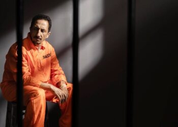 Los principales delitos en los que un Contador puede incurrir